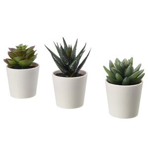 Set of 9 artificial succulents!